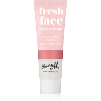 Barry M Fresh Face tekutá lícenka a lesk na pery odtieň Summer Rose 10 ml