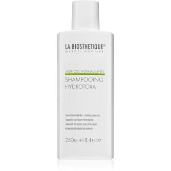 La Biosthétique Methode Normalisante Shampooing Hydrotoxa čistiaci šampón 250 ml