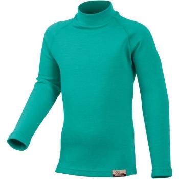 Merino triko Lasting SONY 6565 zelené vlnené 110