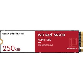 WD Red SN700 NVMe 250 GB (WDS250G1R0C)