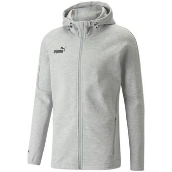 Puma  Mikiny Teamfinal Casuals Hooded  Šedá