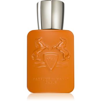 Parfums De Marly Althaïr parfumovaná voda pre mužov 75 ml