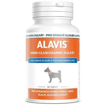 Alavis MSM + Glukozamín sulfát 60 tbl. (8594191410103)
