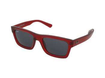 Ray-Ban Warren RB4396 667987