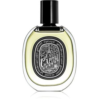 Diptyque Eau Capitale parfumovaná voda unisex 75 ml