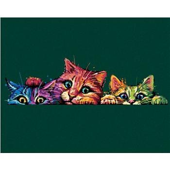 Maľovanie podľa čísel - Farebné mačky (HRAbz33516nad)