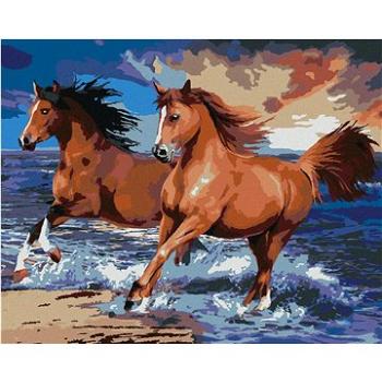 Maľovanie podľa čísel – Kone na piesočnatej pláži (Howard Robinson) (HRAbz33440nad)