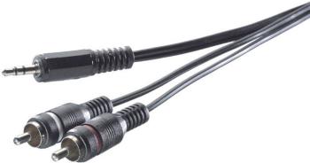 SpeaKa Professional SP-1300900 cinch / jack audio prepojovací kábel [2x cinch zástrčka - 1x jack zástrčka 3,5 mm] 3.00 m