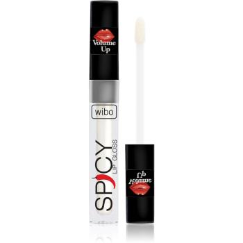 Wibo Lip Gloss Spicy lesk na pery pre väčší objem 10 3 ml