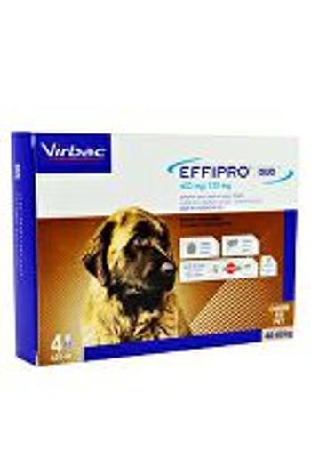 Effipro DUO Dog XL (40-60 kg) 402/120 mg, 4x4,02 ml VÝPREDAJ