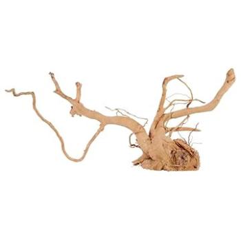 Zolux Spider root prírodné naplavené drevo 50 – 60 cm (3336023560533)