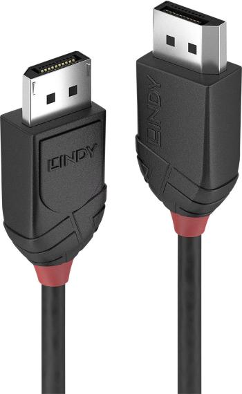 LINDY DisplayPort prepojovací kábel #####DisplayPort Stecker, #####DisplayPort Stecker 1.00 m čierna 36491  #####Display