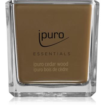 ipuro Essentials Cedar Wood vonná sviečka 125 g