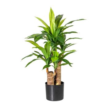 Gasper Umělá květina dracena v plastovém květináči, 80 cm