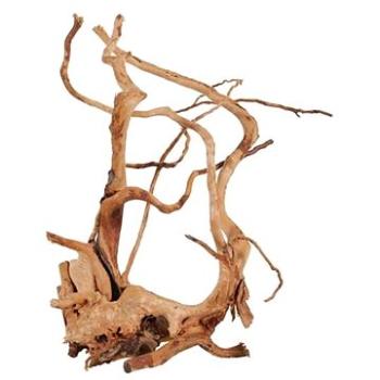 Zolux Spider root prírodné naplavené drevo 40 – 50 cm (3336023560526)