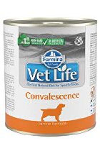 Vet Life Natural Dog Cons. Konvalescencia 300g