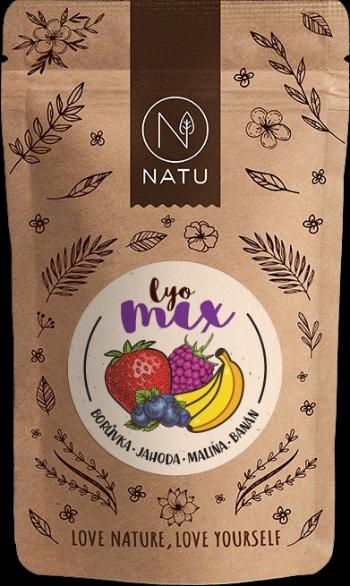 NATU Lyo Mix čučoriedka & jahoda 35 g