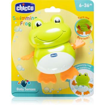 Chicco Baby Senses Swimming Frog hračka do vane 6-36 m 1 ks