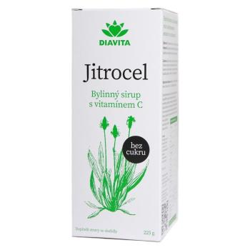 DIAVITA Skorocel bylinný sirup bez cukru 225 g