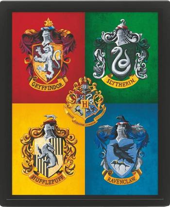3D obraz Harry Potter barevný