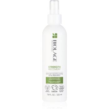 Biolage Strength Recovery posilňujúca bezoplachová starostlivosť pre poškodené vlasy 232 ml