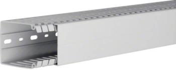 Hager HA780060 káblový kanál  (d x š x v) 2000 x 60 x 80 mm 1 ks svetlo šedá