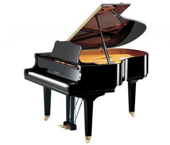 YAMAHA GC2 Polished Ebony