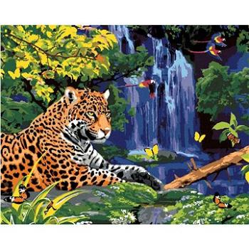 Maľovanie podľa čísel – Jaguár pri vodopáde a papagáje (Howard Robinson) (HRAbz33474nad)