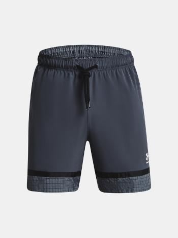 Under Armour UA Acc Woven Kraťasy Šedá