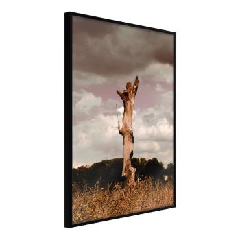 Plagát v ráme Artgeist Loneliness in Nature, 40 x 60 cm
