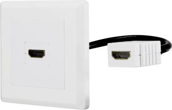 Renkforce RF-4538136 HDMI adaptér [1x HDMI zásuvka - 1x HDMI zásuvka] biela pozlátené kontakty 15.00 cm