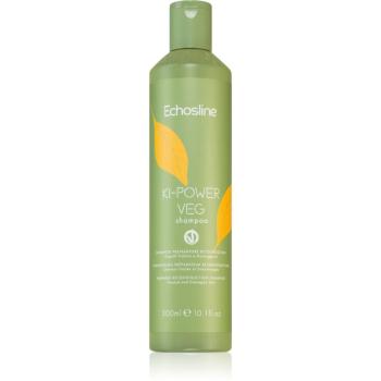 Echosline Ki-Power Veg Shampoo obnovujúci šampón pre poškodené vlasy 300 ml