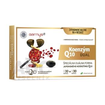 Barny's KOENZÝM Q10 DUAL 60 mg