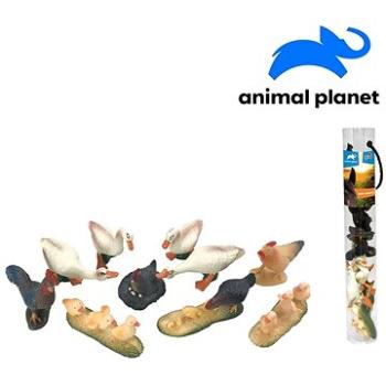 Zvieratká v tube – farma, 5 – 8 cm, mobilná aplikácia na zobrazenie zvieratiek, 10 ks (8590756075497)