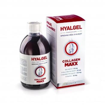 Hyalgel Collagen MAXX 500 ml