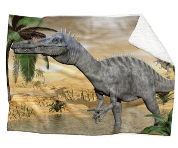 Deka Dinosaurus  (Rozmer: 150 x 120 cm, Podšitie baránkom: ÁNO)