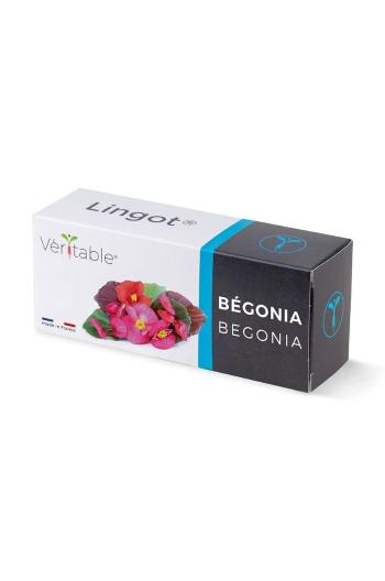 Náplň so semienkami Veritable Begonia