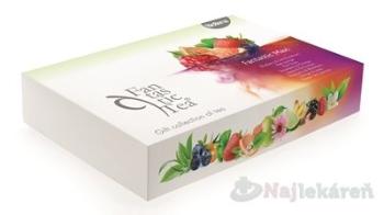 Biogena Fantastic Tea Maxi mix ovocných a bylinných čajov 8x8ks