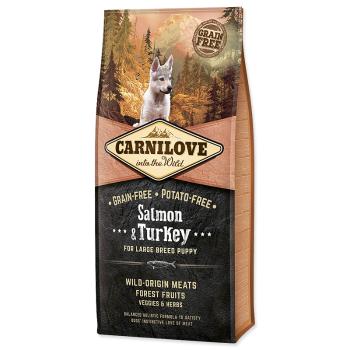 CARNILOVE Salmon & Turkey for Large Breed Puppy 12 kg