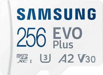 Samsung SDXC 256GB EVO Plus