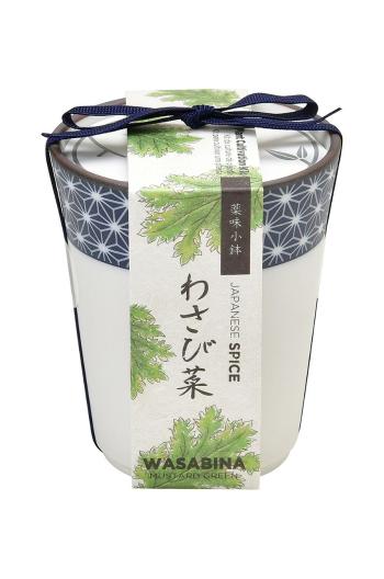 Noted sada na pestovanie rastlín Yakumi, Wasabina