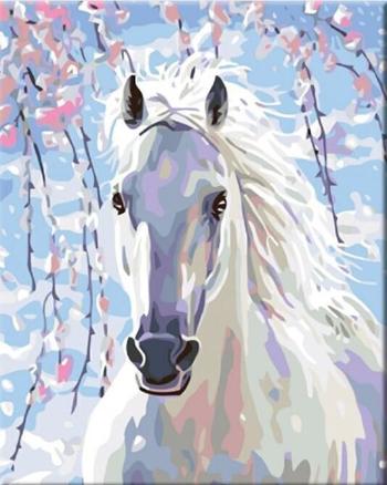 Zuty Maľovanie podľa čísiel Biely kôň