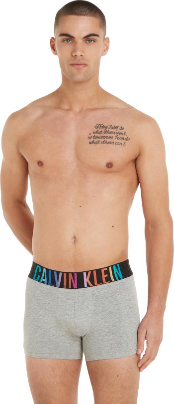 Calvin Klein Pánske boxerky NB3939A-P7A L