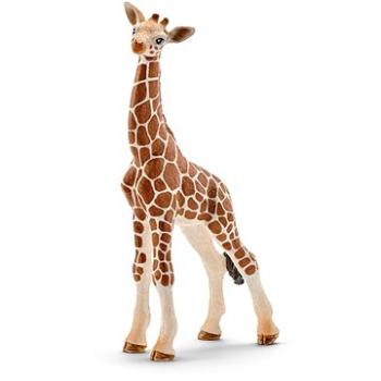 Schleich 14751 Mláďa žirafy (4005086147515)