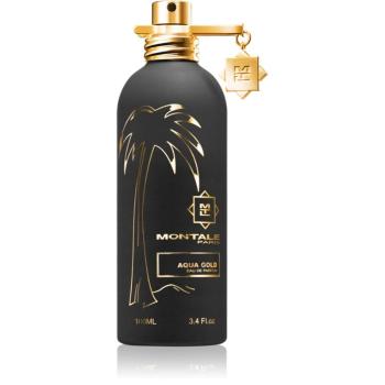 Montale Aqua Gold parfumovaná voda unisex 100 ml