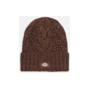 Dickies  Hoxie beanie  Čiapky Hnedá