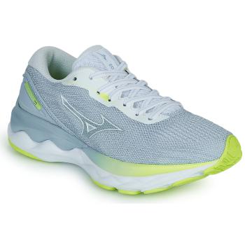 Mizuno  WAVE SKYRISE 3  Bežecká a trailová obuv Šedá