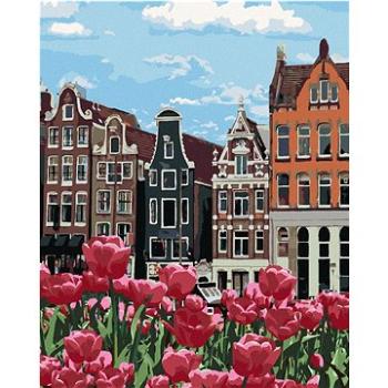 Maľovanie podľa čísel - Tulipány v Amsterdame II (HRAbz33234nad)