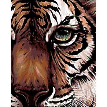 Maľovanie podľa čísel – Pohľad tigra (HRAmal00380nad)