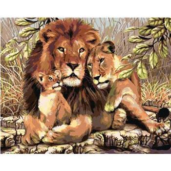 Maľovanie podľa čísel – Lev s levicou a levíčaťom (HRAmal00664nad)
